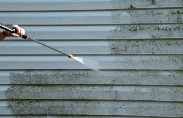 Animal Enclosure Cleaning in Manistee, MI