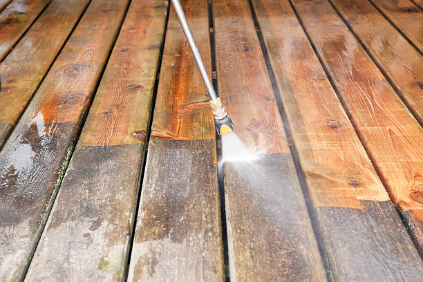 Best Pre-Holiday Cleaning  in Manistee, MI